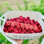 지석농장