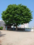 (주)하광(1종) | 해광사