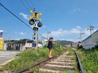 로컬디자인숲협동조합