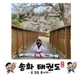 송화태권도장