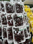 웰빙마트