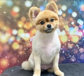 꼬맹이네멍발소