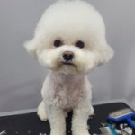 뚱몽이네