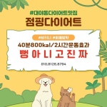 잘빠짐점핑다이어트
