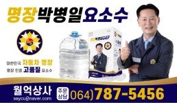 명장요소수월억상사