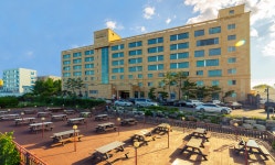 팜파스 호텔&리조트 속초