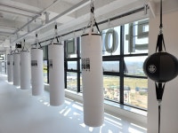 라이언복싱 고등지구점