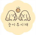 눈이부시개 애견유치원&애견카페