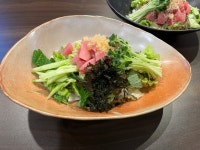 권참치