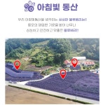 아침빛동산