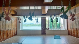 조현주웰빙요가