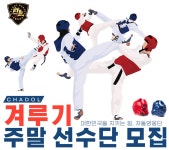 차돌태권도