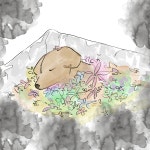 반려동물장례 펫119