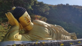 미암사