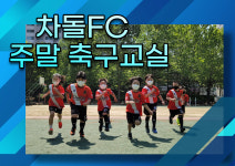 차돌태권도
