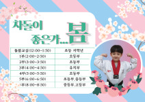 차돌태권도