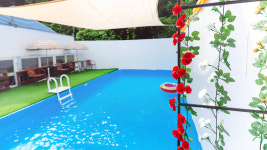 퍼피스테이 온수수영장 애견펜션