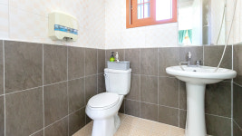 퍼피스테이 온수수영장 애견펜션