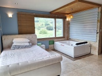 스파펜션아모르