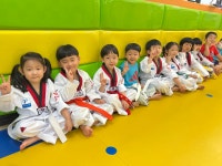 용인대금메달태권도
