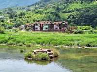 스파펜션아모르