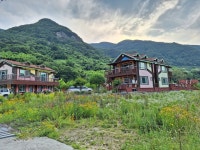 스파펜션아모르