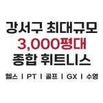 엠스타휘트니스