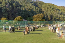 강촌관광레저