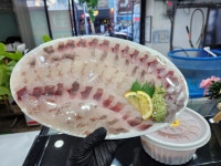 정동진회도매수산식당