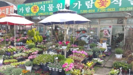 가람꽃식물원