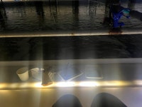 청주락실내바다낚시터