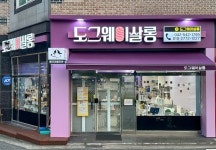 도그웨이살롱