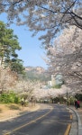 폭포동부동산공인중개사사무소