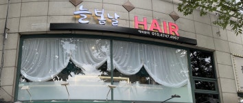 늘봄날