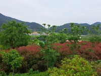 은혜농원