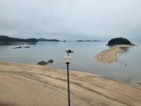 목섬칼국수&조개구이찜