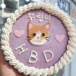맛있개 냠냥