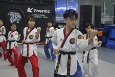 판교KTIGERS태권도