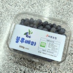 비봉농원 블루베리 체험농장