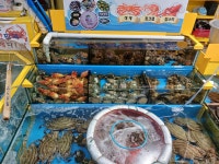목포수산