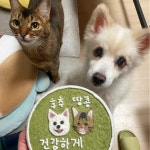 맛있개 냠냥
