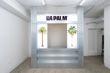 다팜 daPalm