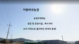 농업회사법인가람버섯농장