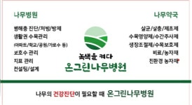 온그린나무병원