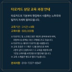 더타로&사주