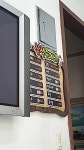 삼색수제비