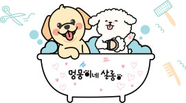 멍뭉이네살롱