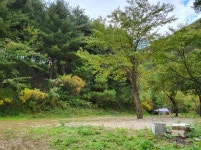 강원 홍천 알프스밸리 캠핑나라 글램독