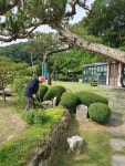 송림조경