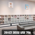 보람홈펫션 | 펫114